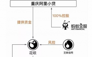 借了“花呗”的钱 要不要提前还款？